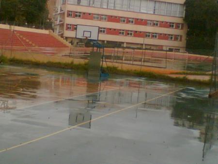 vive le sport